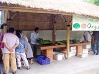 Organic Market