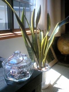 ������ hspace=