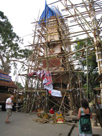 ���������P hspace=