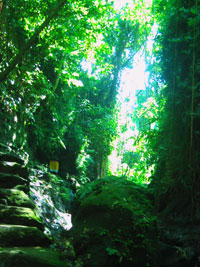 �E�u�h�C���[�W hspace=